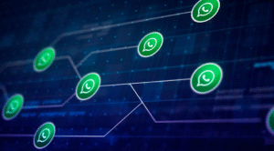 como usar o whatsap business integrado ao erp