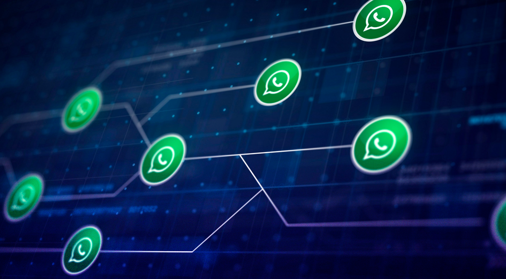 como usar o whatsap business integrado ao erp